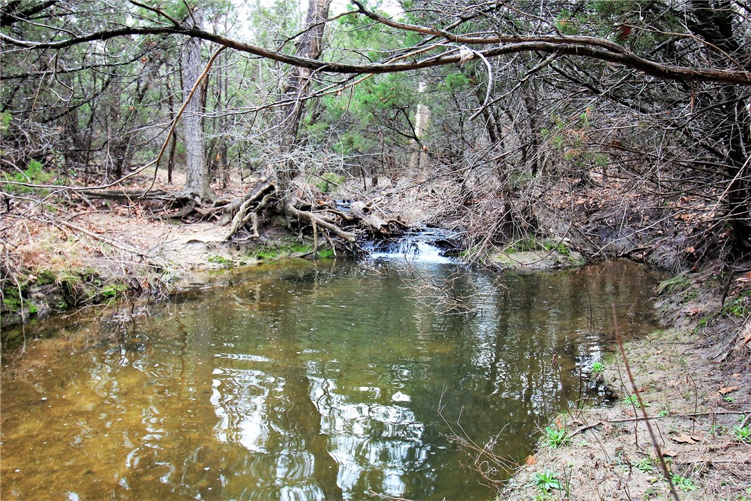 140 Pr 2164 Road Iredell, TX 76649 - Photo 18 of 20