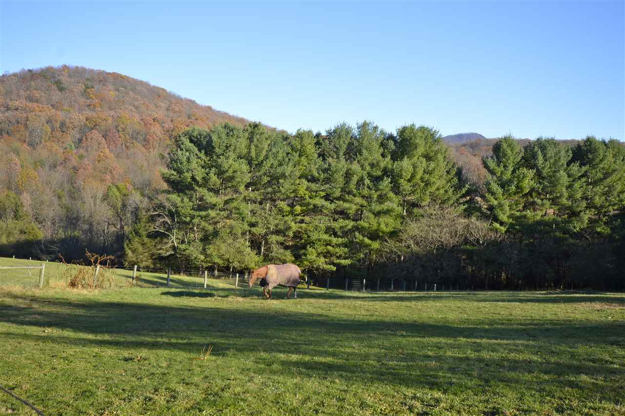 62 Jonestown Road Fairfield, VA 24435 - Photo 30 of 42 a view of a golf course with a lake