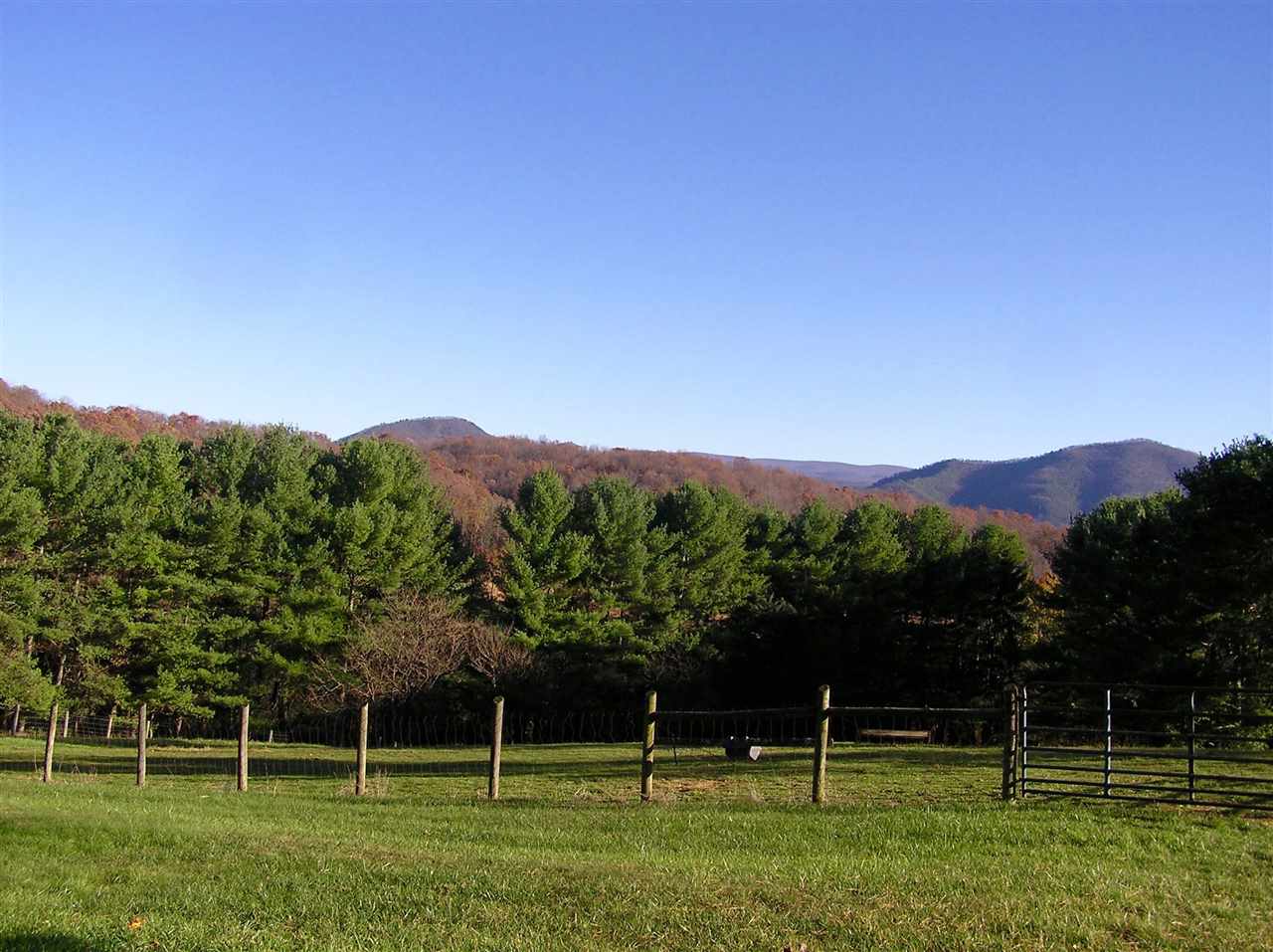 62 Jonestown Road Fairfield, VA 24435 - Photo 40 of 42 a view of a field with a tree in the background