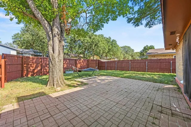a view of a yard with plants and a large tree
