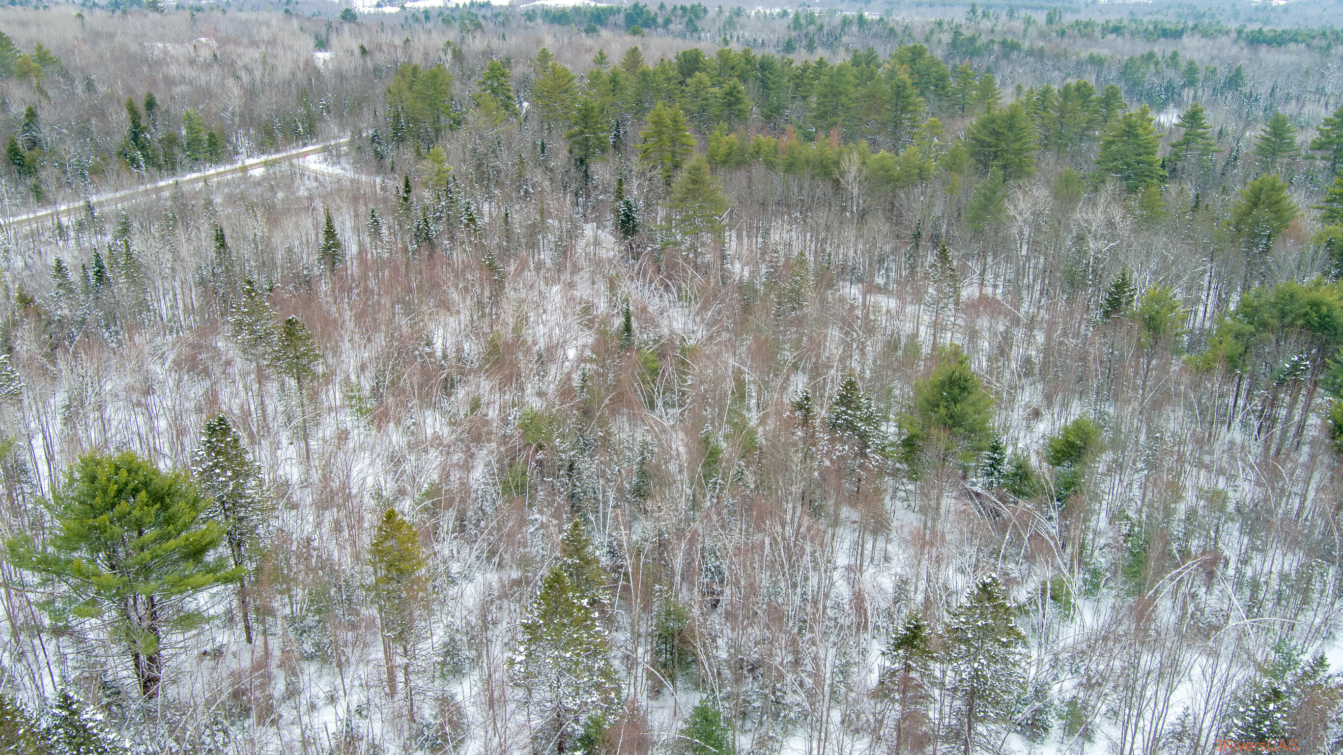0 Ramsdell Ridge Road Milo, ME 04463 - Photo 11 of 11 from back of land