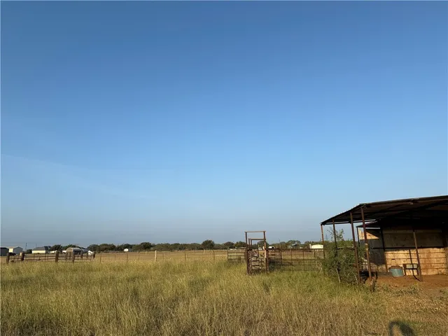 a view of ocean with trees
