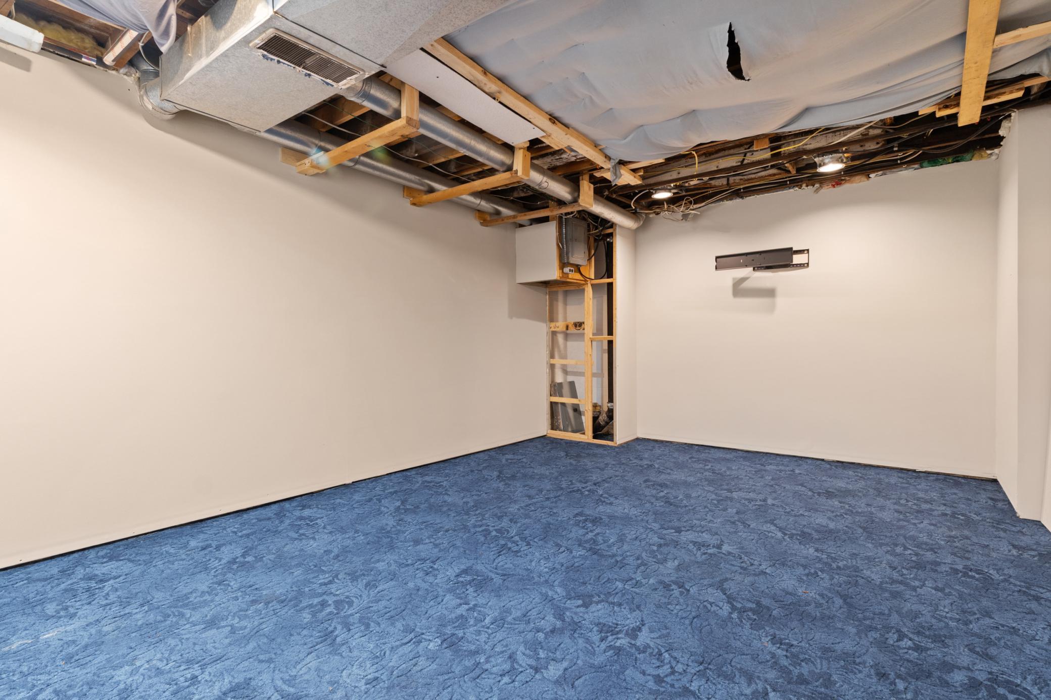 310 Trondheim Road Kenyon, MN 55946 - Photo 22 of 31