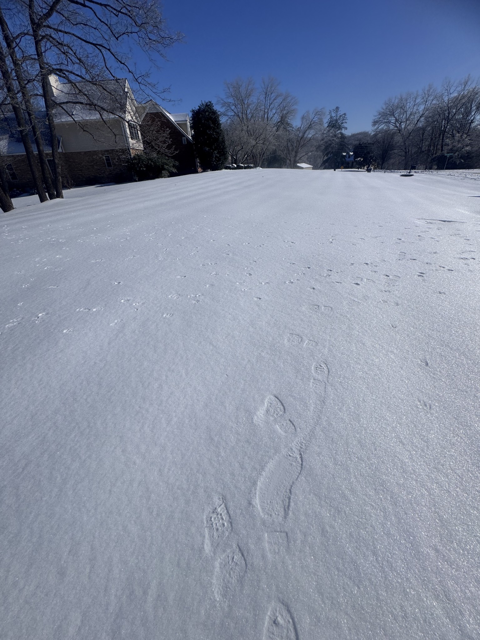 643 Cornwall Road Clarksville, TN 37043 - Photo 79 of 90