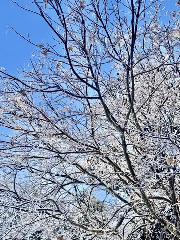 $960,000 | 643 Cornwall Road, Clarksville, TN 37043