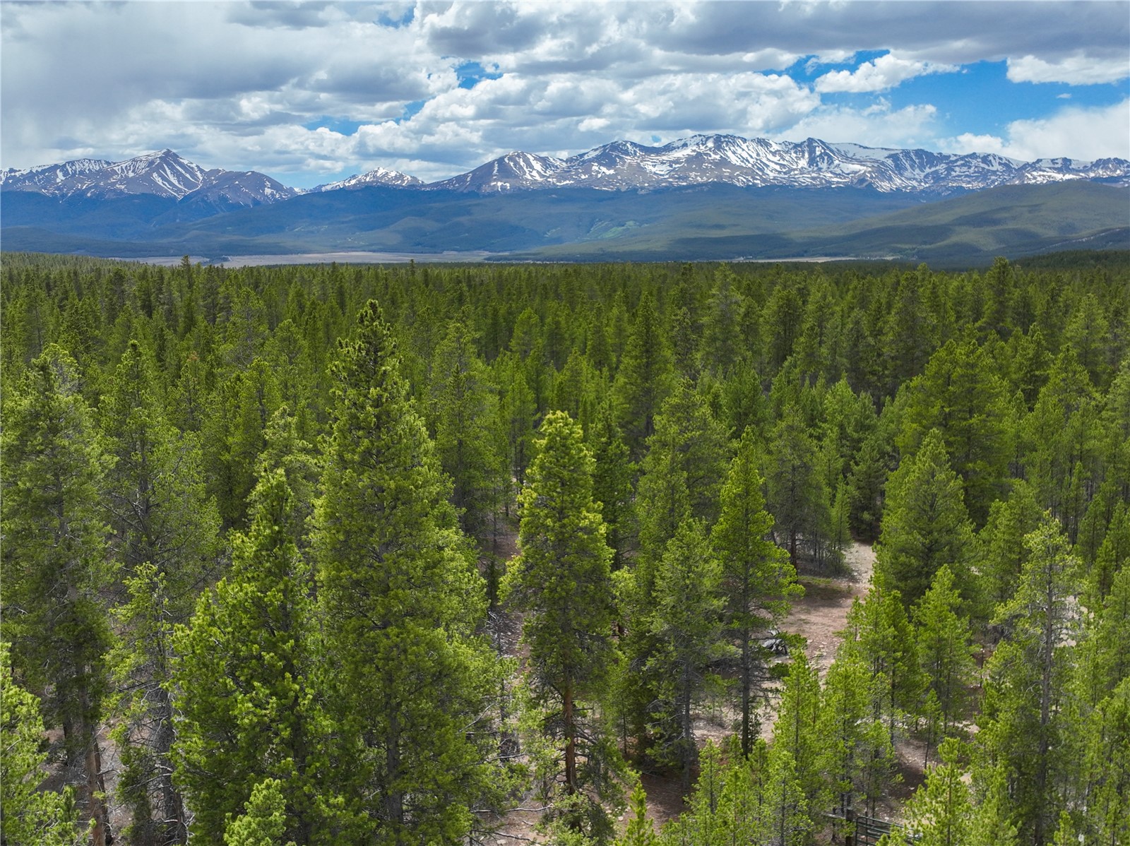 201 Snowshoe Rabbit Drive Leadville, CO 80461 - Photo 3 of 17