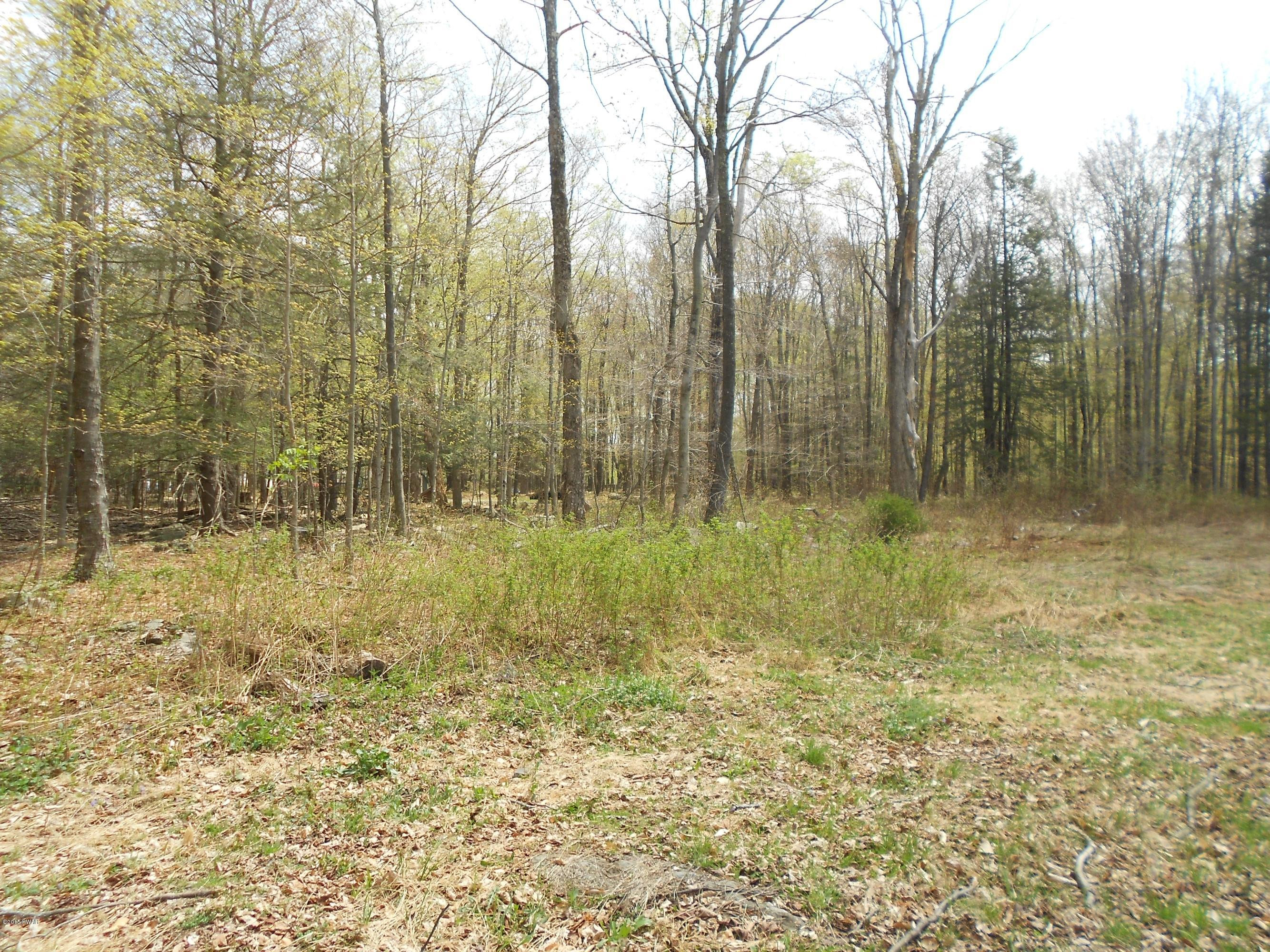 4 Stony Lonesome Road Lake Ariel, PA 18436 - Photo 6 of 12