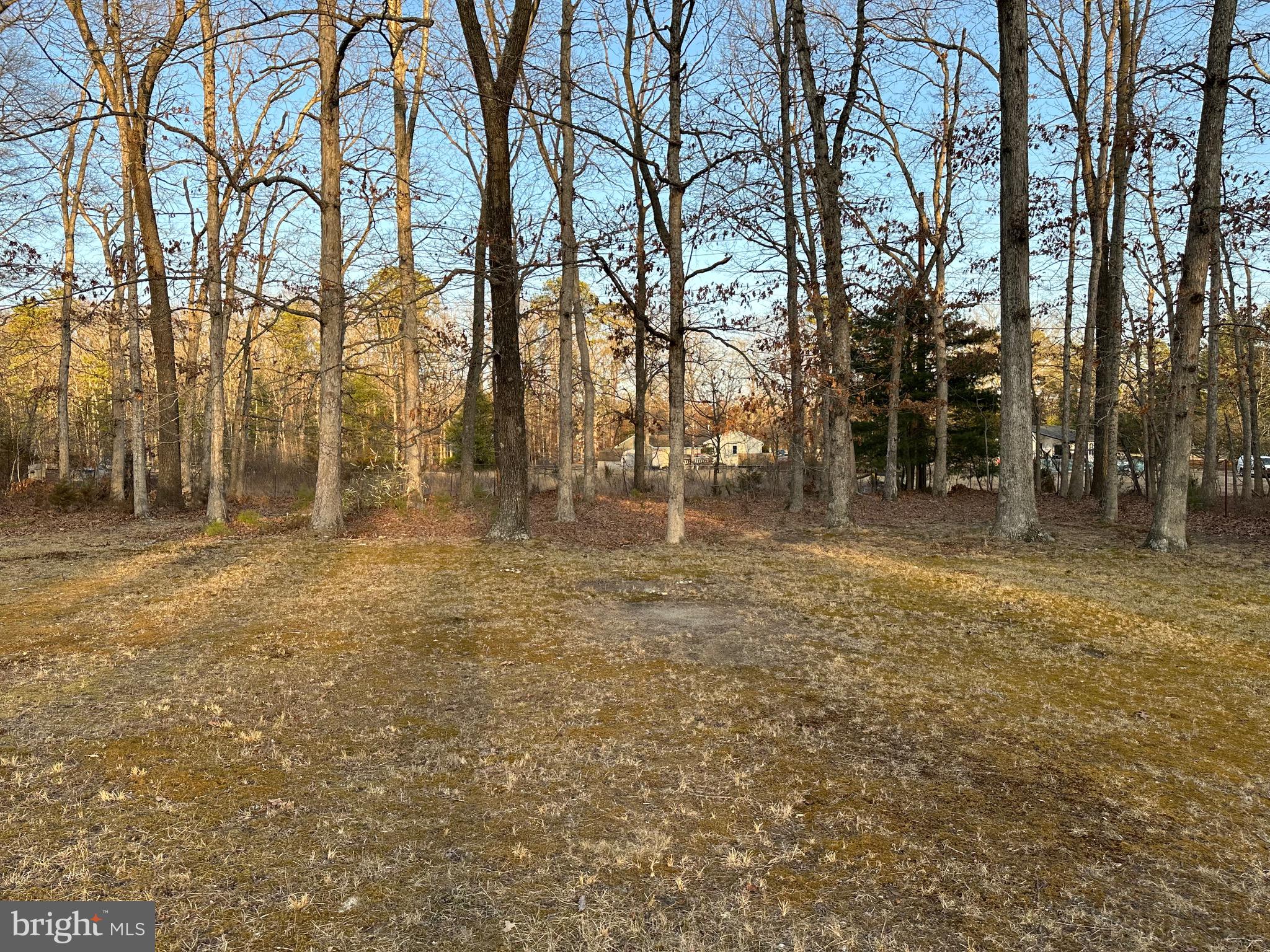40 Damascus Road Franklinville, NJ 08322 - Photo 27 of 28 Gallery Image 27