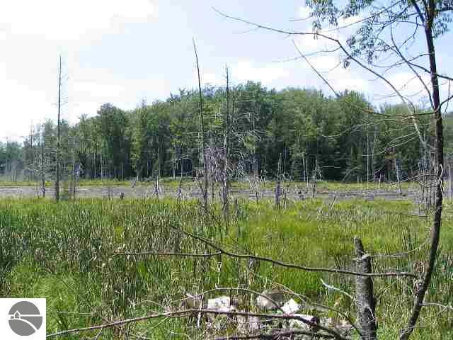 2030 South 33 Road Cadillac, MI 49601 - Photo 13 of 13 1695399-12.JPG