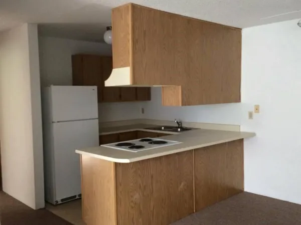 a kitchen with a sink a stove and a refrigerator