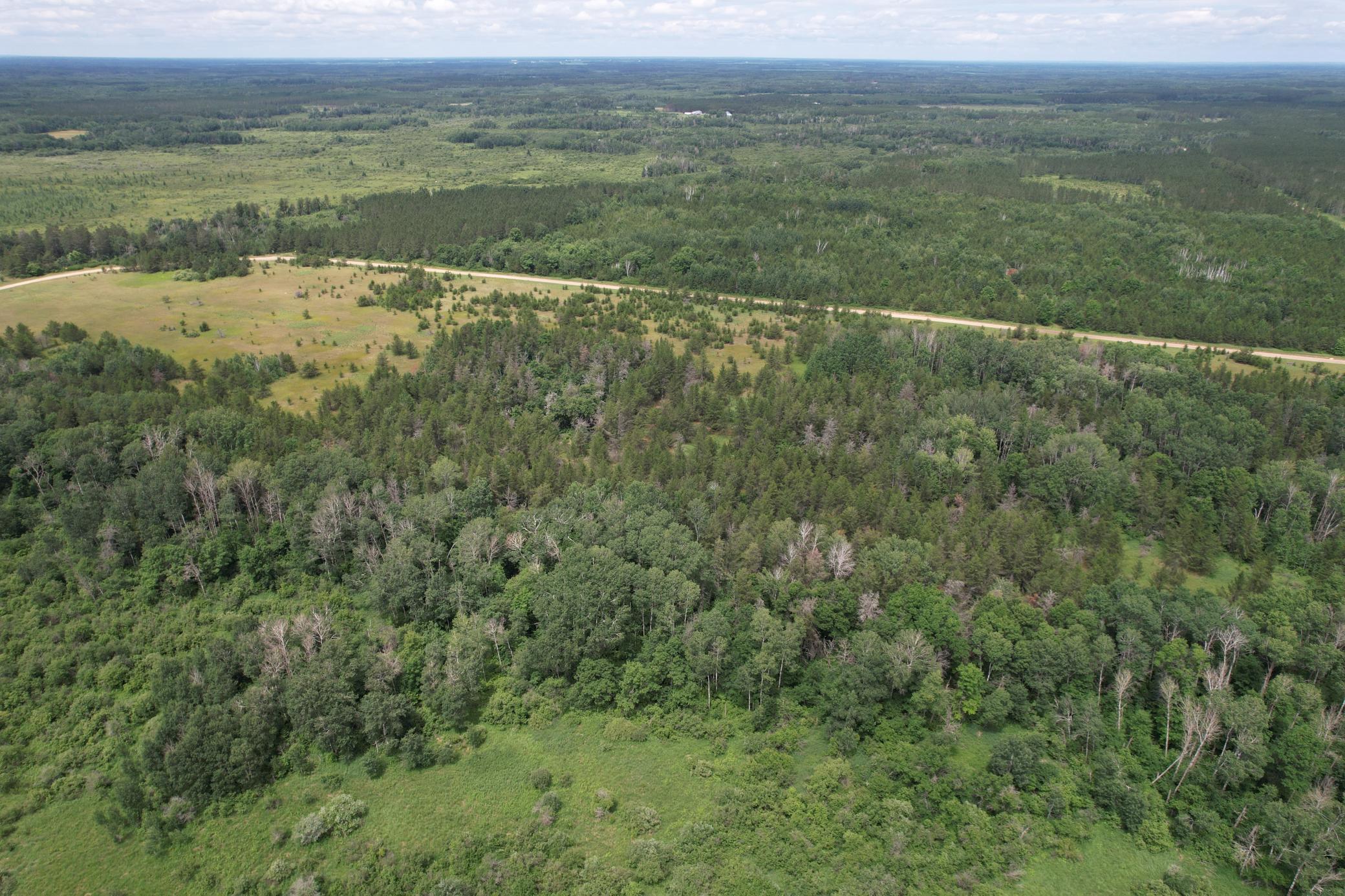 Tbd 350th Street Sebeka, MN 56477 - Photo 5 of 100