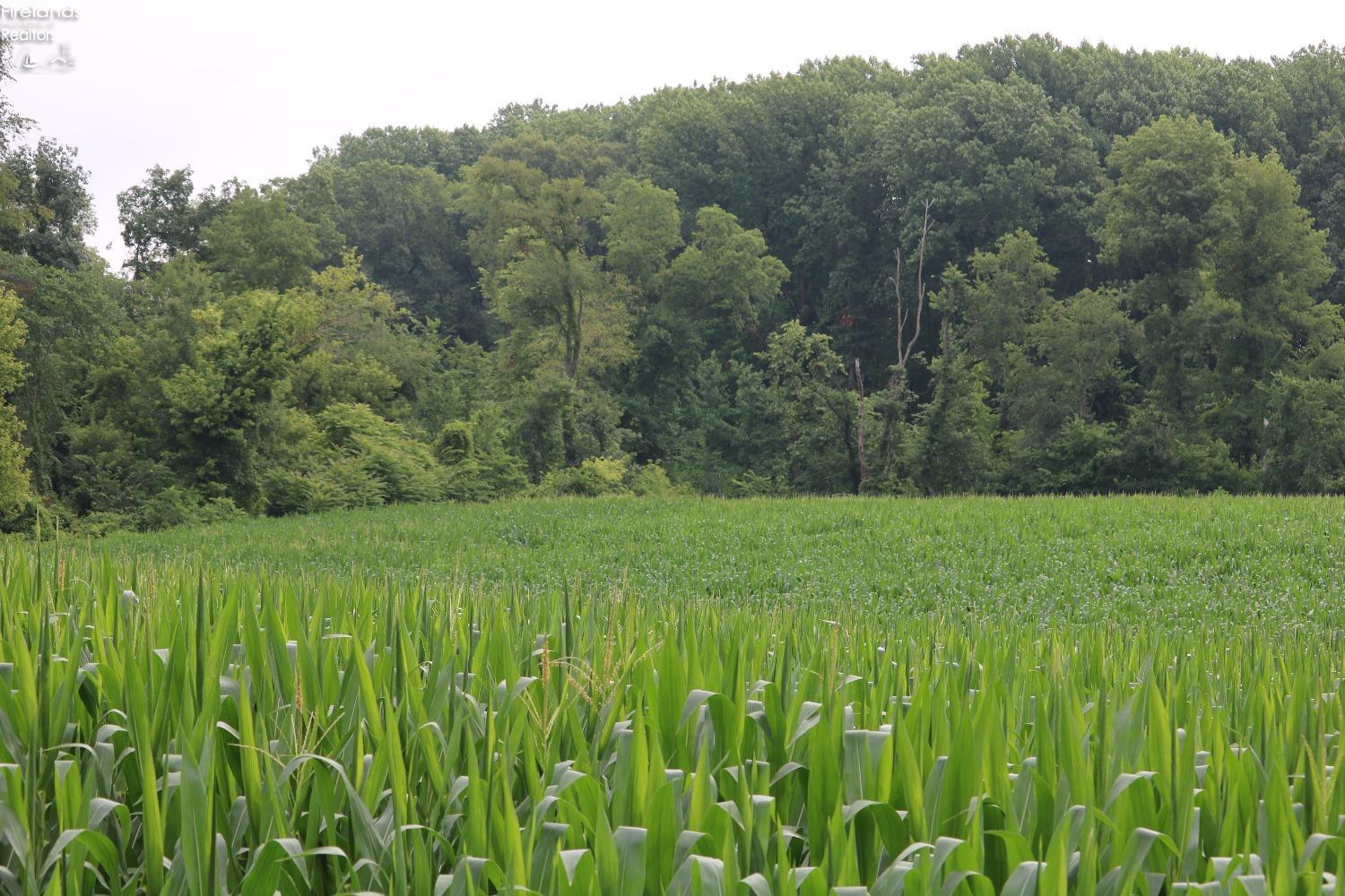 0 Shaw Mill Road Norwalk, OH 44857 - Photo 11 of 11 Gallery Image 11