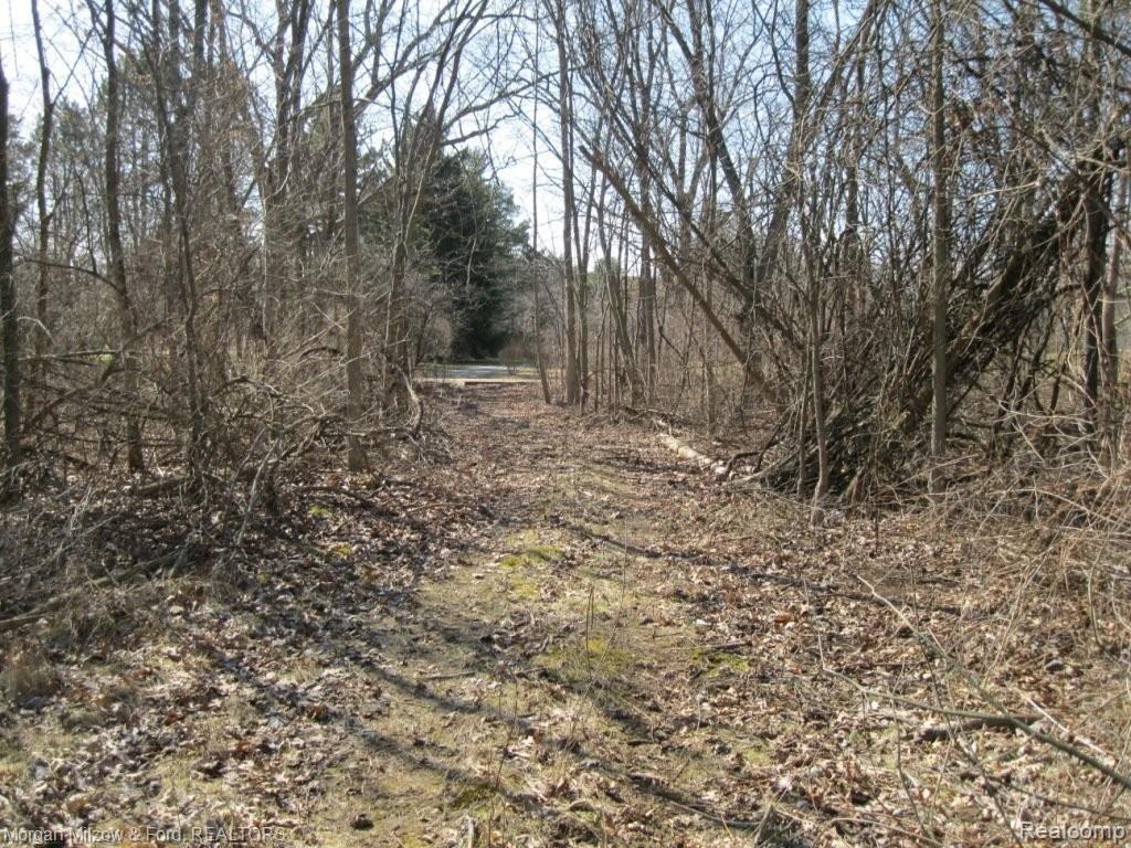 V/l Reese Road Clarkston, MI 48348 - Photo 7 of 24 005.JPG
