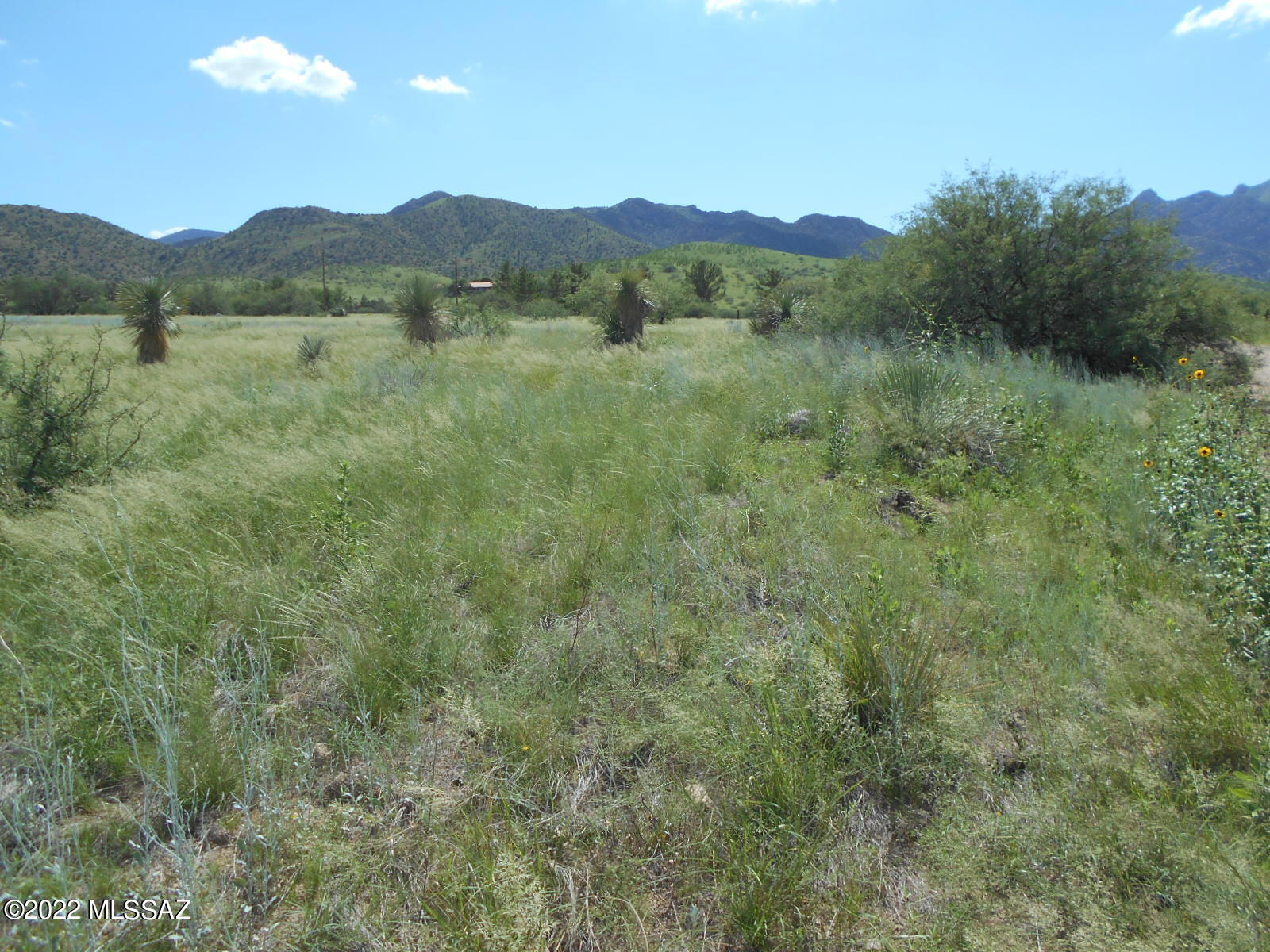 1.1-acres Treasure Road, Unit 7 Pearce, AZ 85625 - Photo 3 of 38 Gallery Image 3