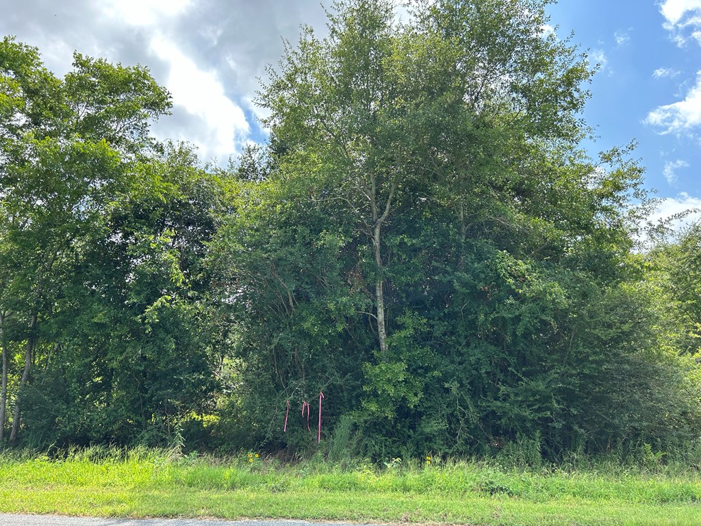 75/ Nuclear Plant Road Columbia, AL 36319 - Photo 21 of 34