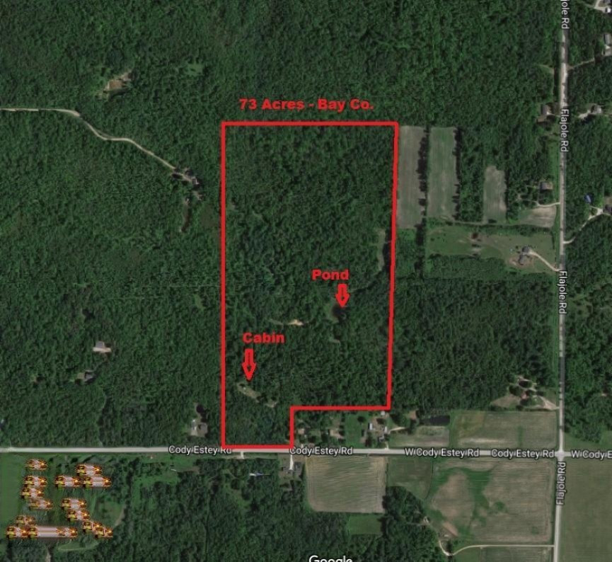 West Cody Estey Road Rhodes, MI 48652 - Photo 1 of 21 73AcresAerial1