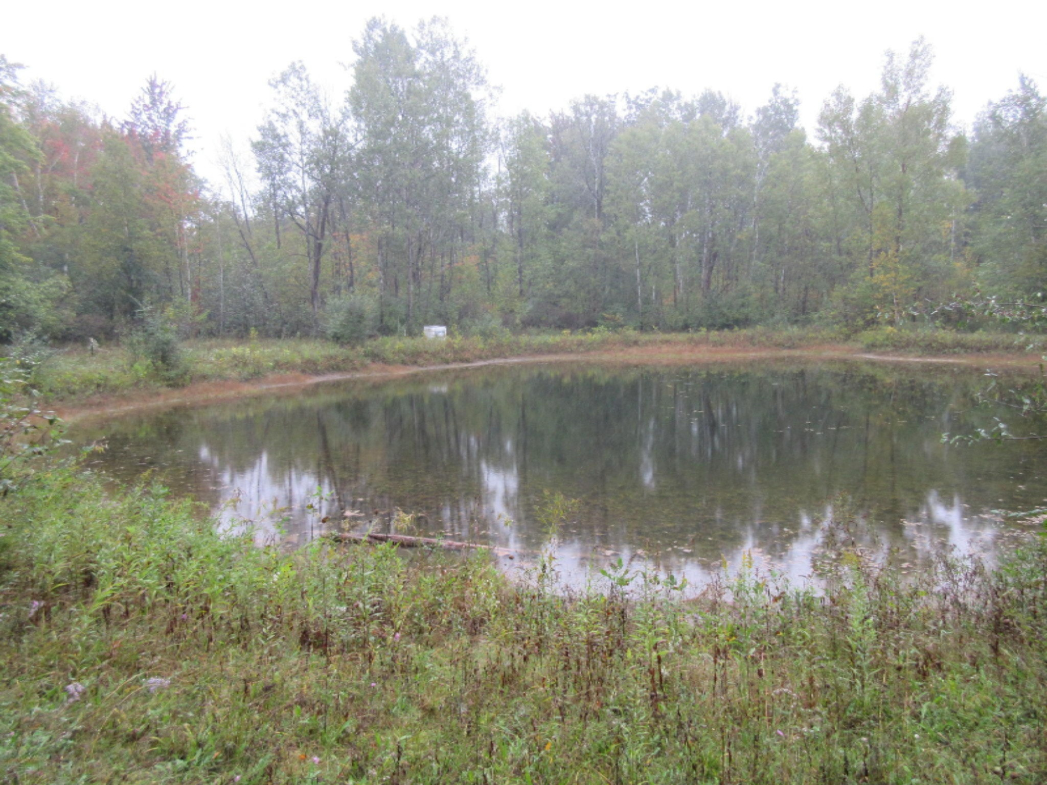 West Cody Estey Road Rhodes, MI 48652 - Photo 11 of 21 IMG_6365