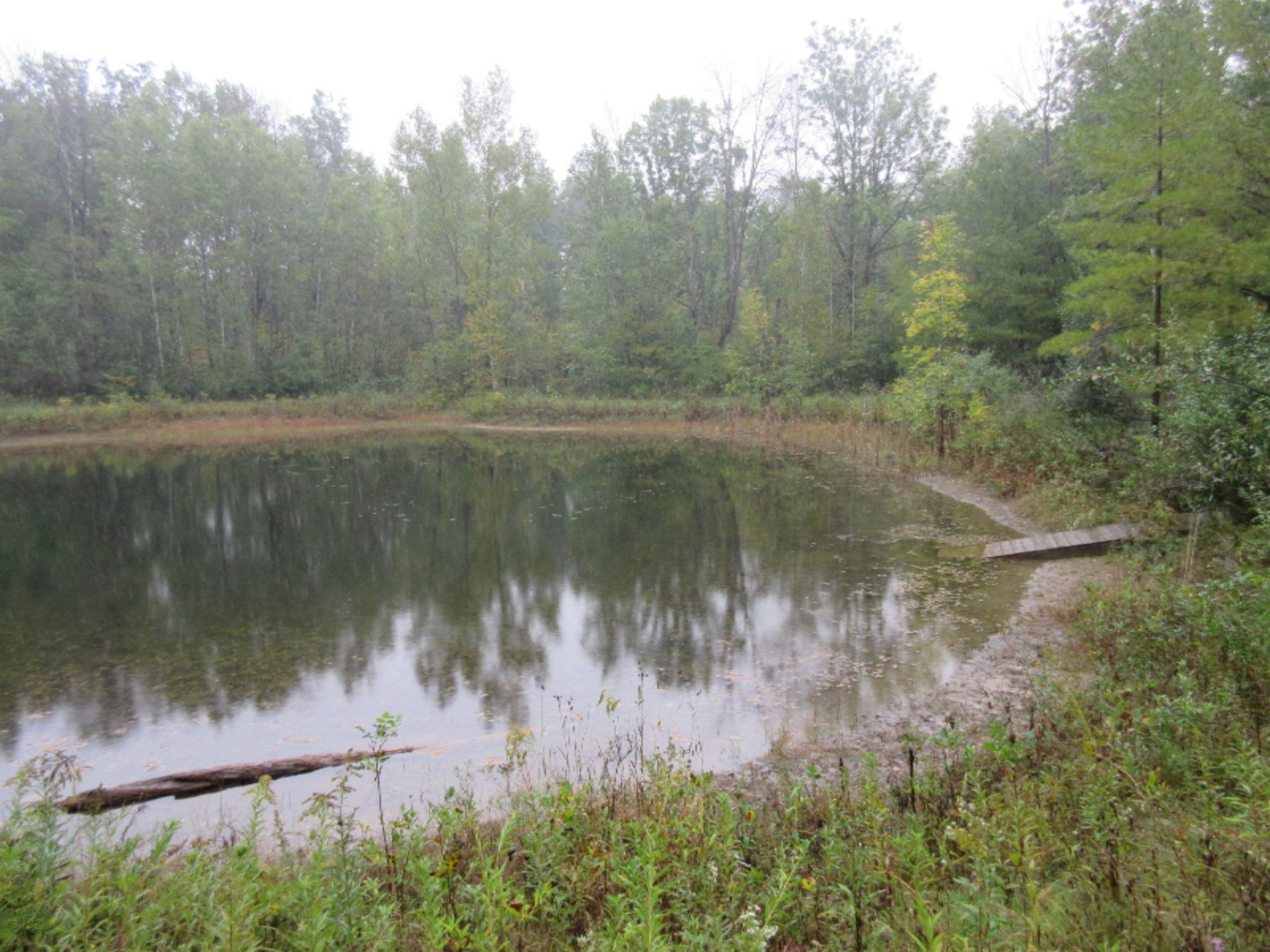West Cody Estey Road Rhodes, MI 48652 - Photo 12 of 21 IMG_6367