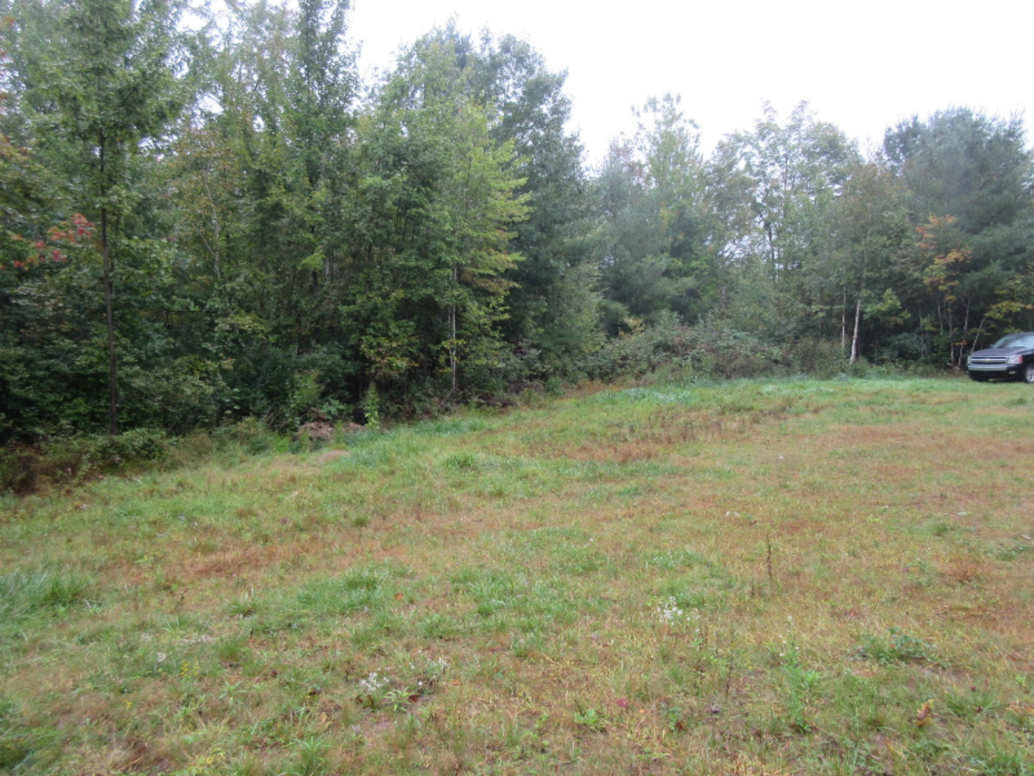 West Cody Estey Road Rhodes, MI 48652 - Photo 16 of 21 IMG_6357