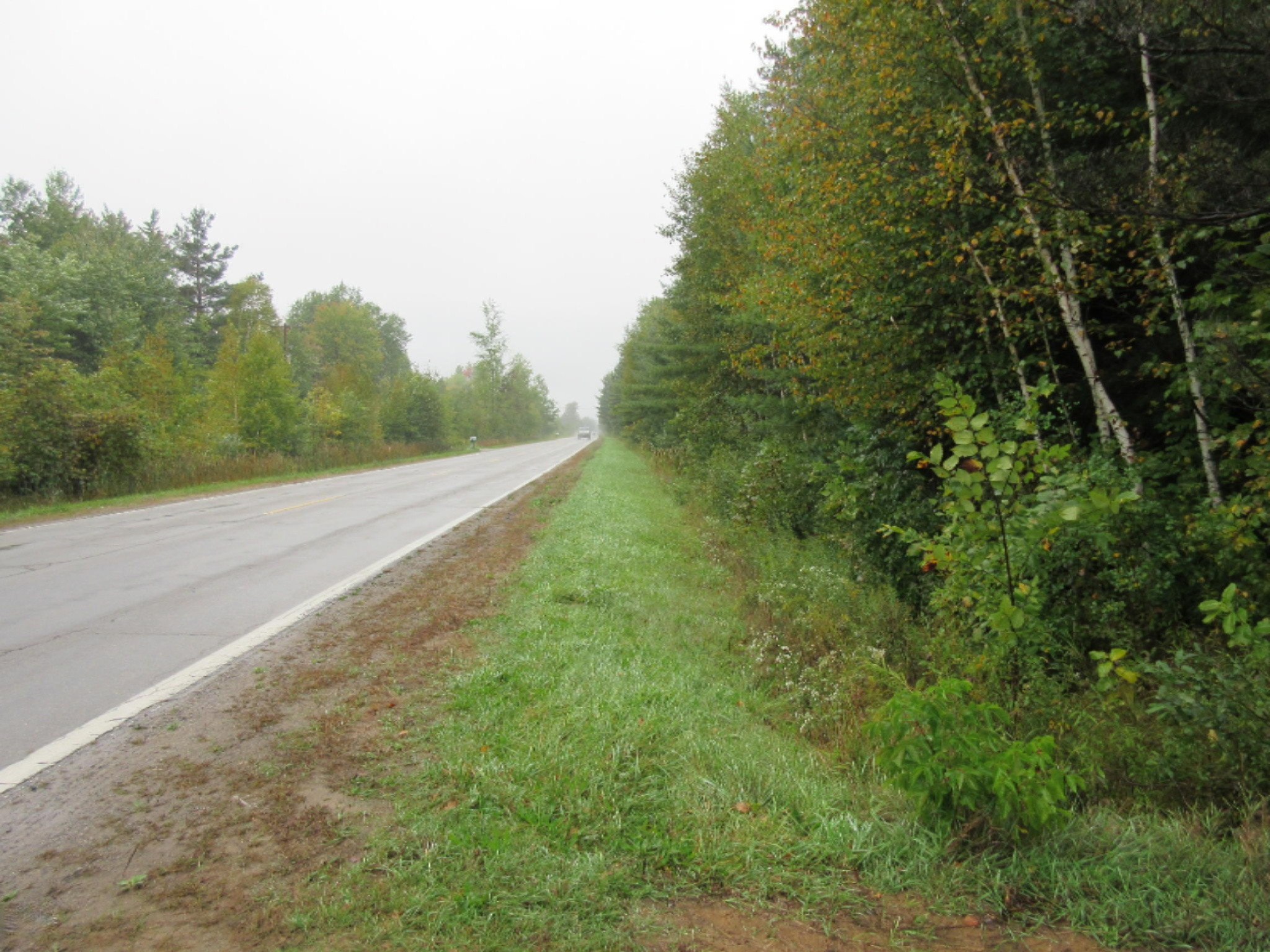 West Cody Estey Road Rhodes, MI 48652 - Photo 20 of 21 IMG_6393