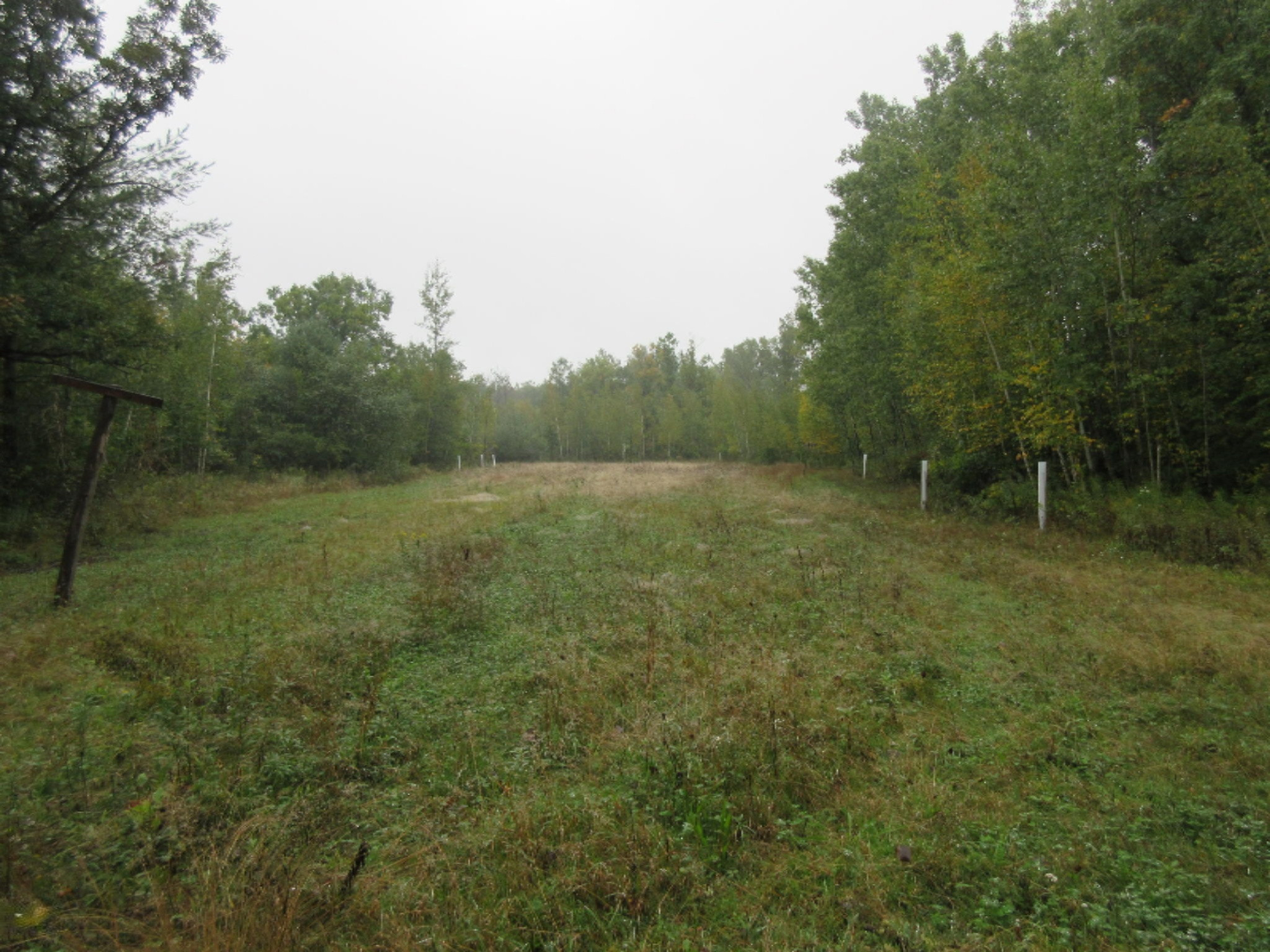 West Cody Estey Road Rhodes, MI 48652 - Photo 10 of 21 IMG_6373