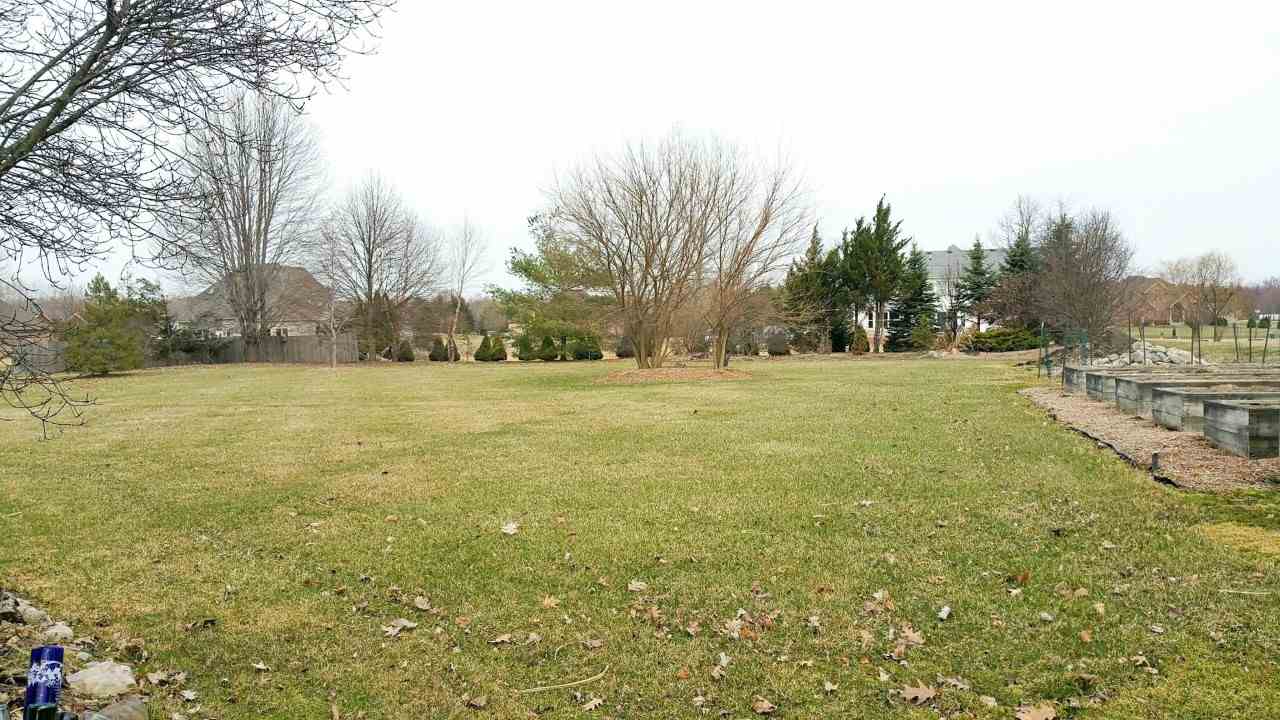 spacious back yard