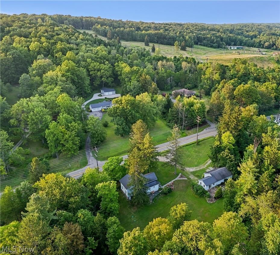 10571 Mayfield Road Chesterland, OH 44026 - Photo 29 of 39 Aerial view of mature forest