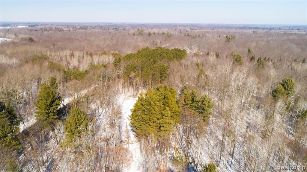 3637 South Loomis Road Mount Pleasant, MI 48858 - Photo 36 of 76 Gallery Image 36