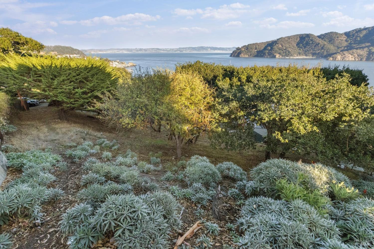0 Tower Point Lane Tiburon, CA 94920 - Photo 19 of 28