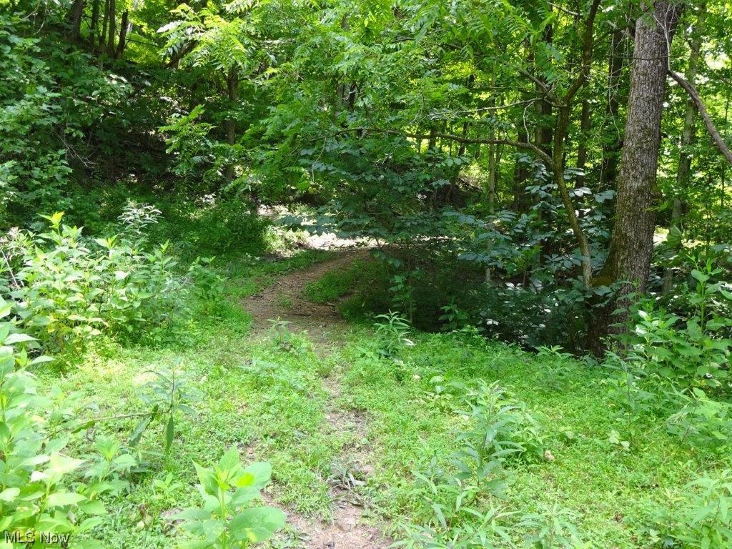 1898 Tariff Road Left Hand, WV 25251 - Photo 8 of 23