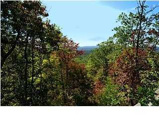226 Shivas Crest, Unit 72 Rising Fawn, GA 30738 - Photo 24 of 24 Additional Photo