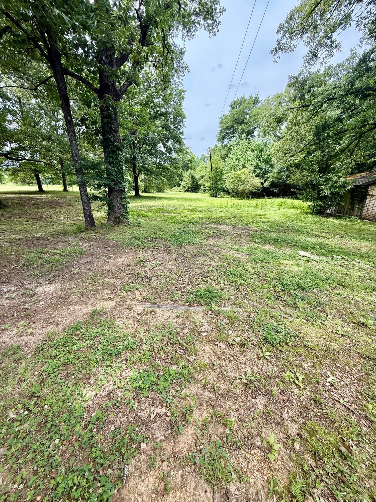30095 Andrews Road Nettleton, MS 38858 - Photo 16 of 17 IMG_3412