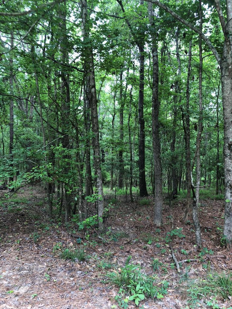 11.19-ac Mosley Road Lincolnton, GA 30817 - Photo 1 of 15 Main View