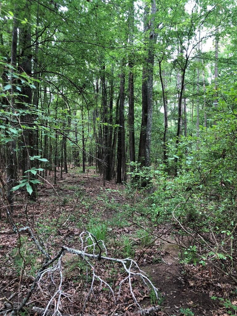 11.19-ac Mosley Road Lincolnton, GA 30817 - Photo 7 of 15