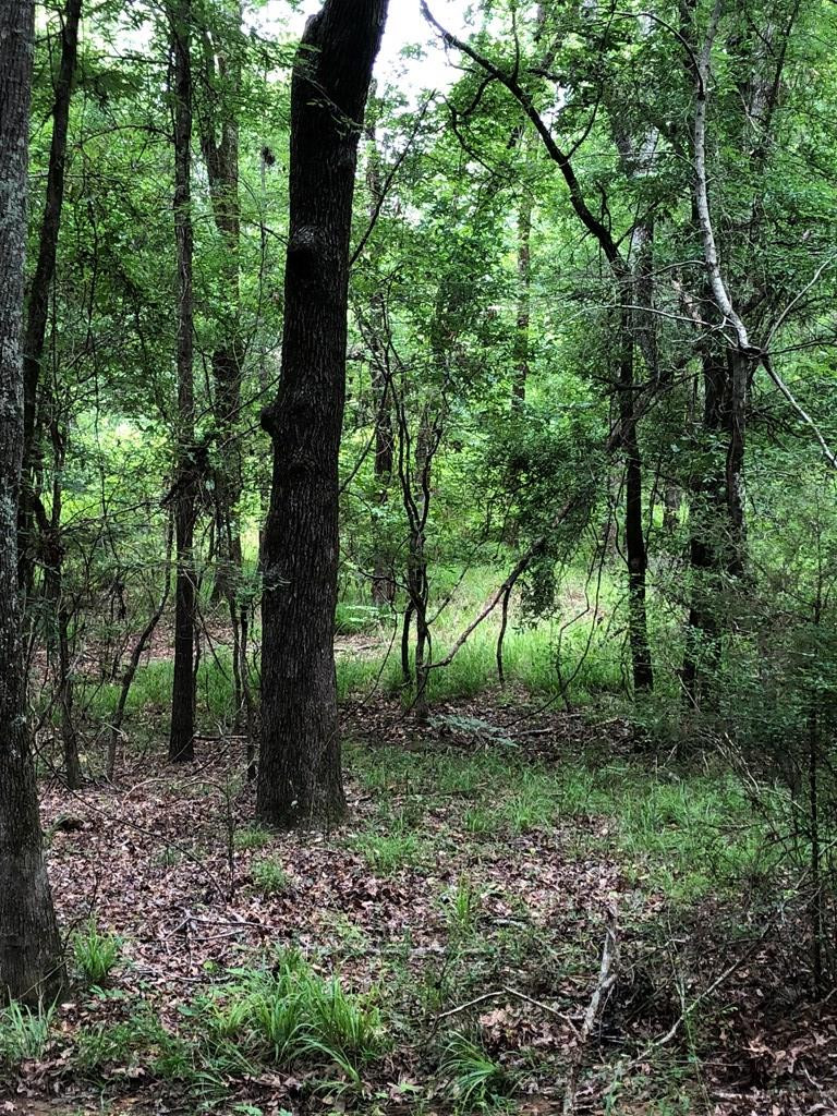 11.19-ac Mosley Road Lincolnton, GA 30817 - Photo 8 of 15