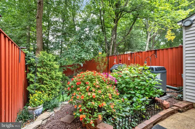 a view of a garden with plants