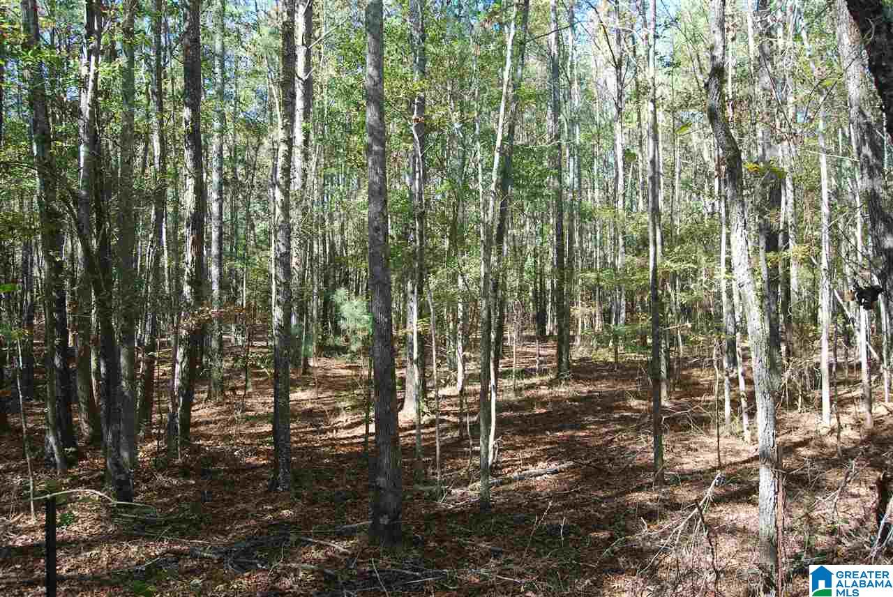 Ranch Marina Road, Unit 1 Pell City, AL 35128 - Photo 9 of 10