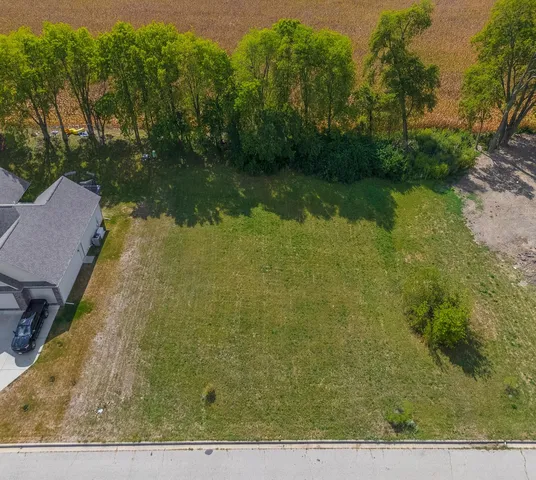 a view of a city street with a yard and large trees