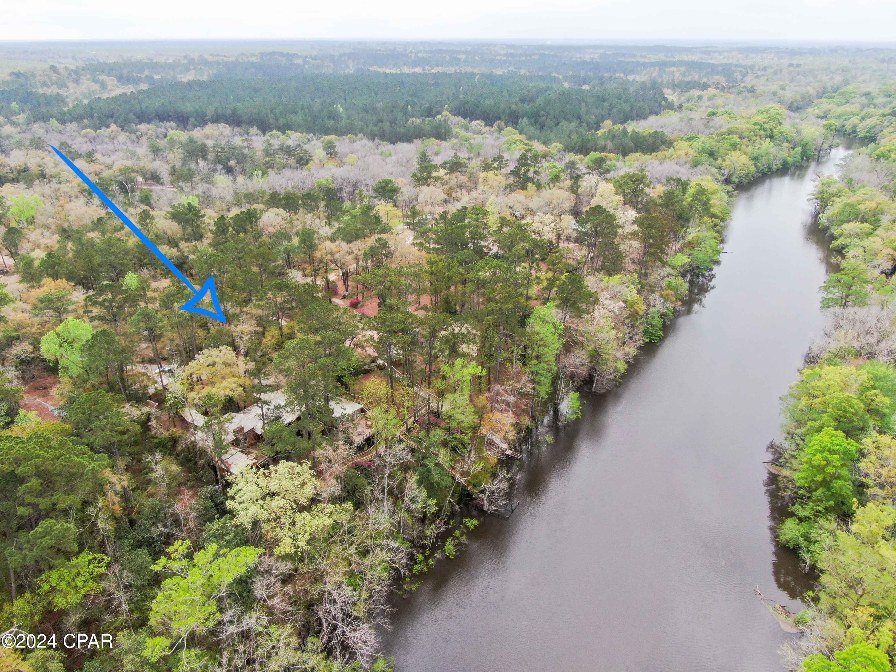 3640 Lucianne Road Vernon, FL 32462 - Photo 3 of 116