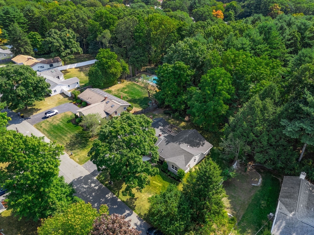 21 Savoy Road Framingham, MA 01701 - Photo 30 of 37 an aerial view of residential house with outdoor space and trees all around