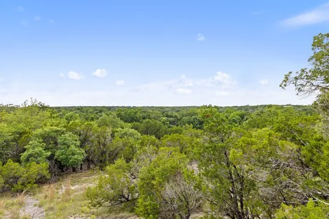 a view of a bunch of trees and bushes