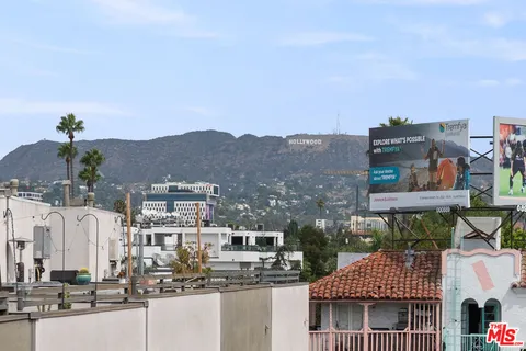 a view of a garden with plants