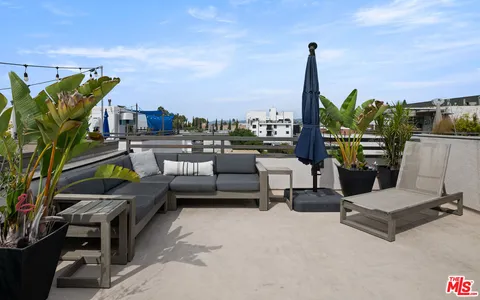 a plant that is sitting in front of a building