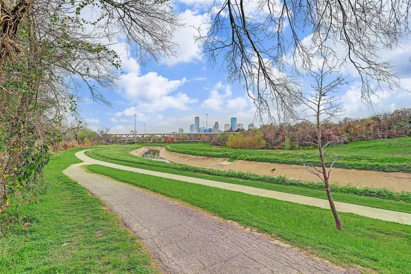 a view of a park with large trees