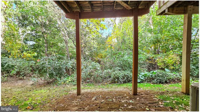 a view of a room with a large trees and plants