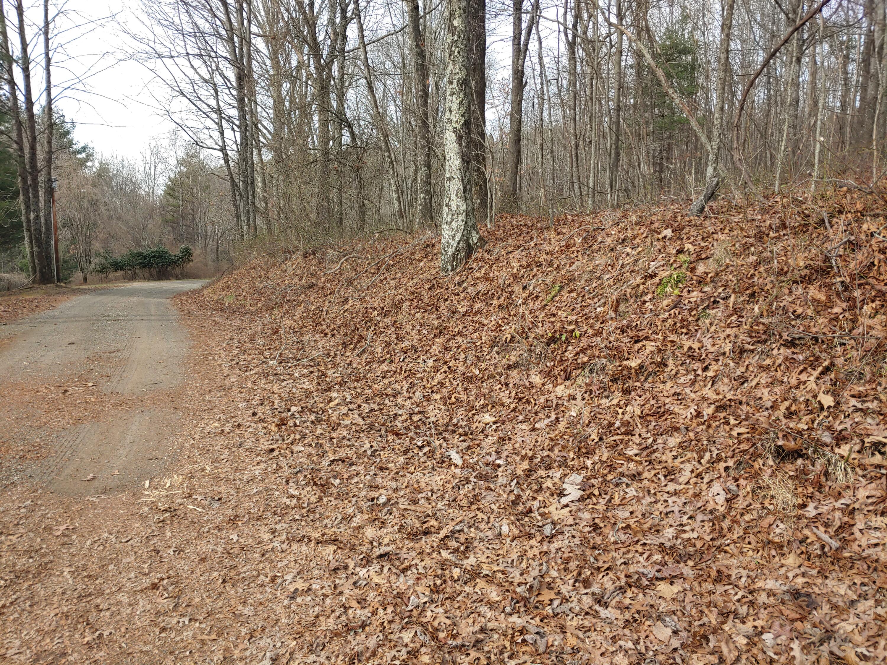 0 Calvary Wy Road Laurel Fork, VA 24352 - Photo 1 of 11 1221231309a