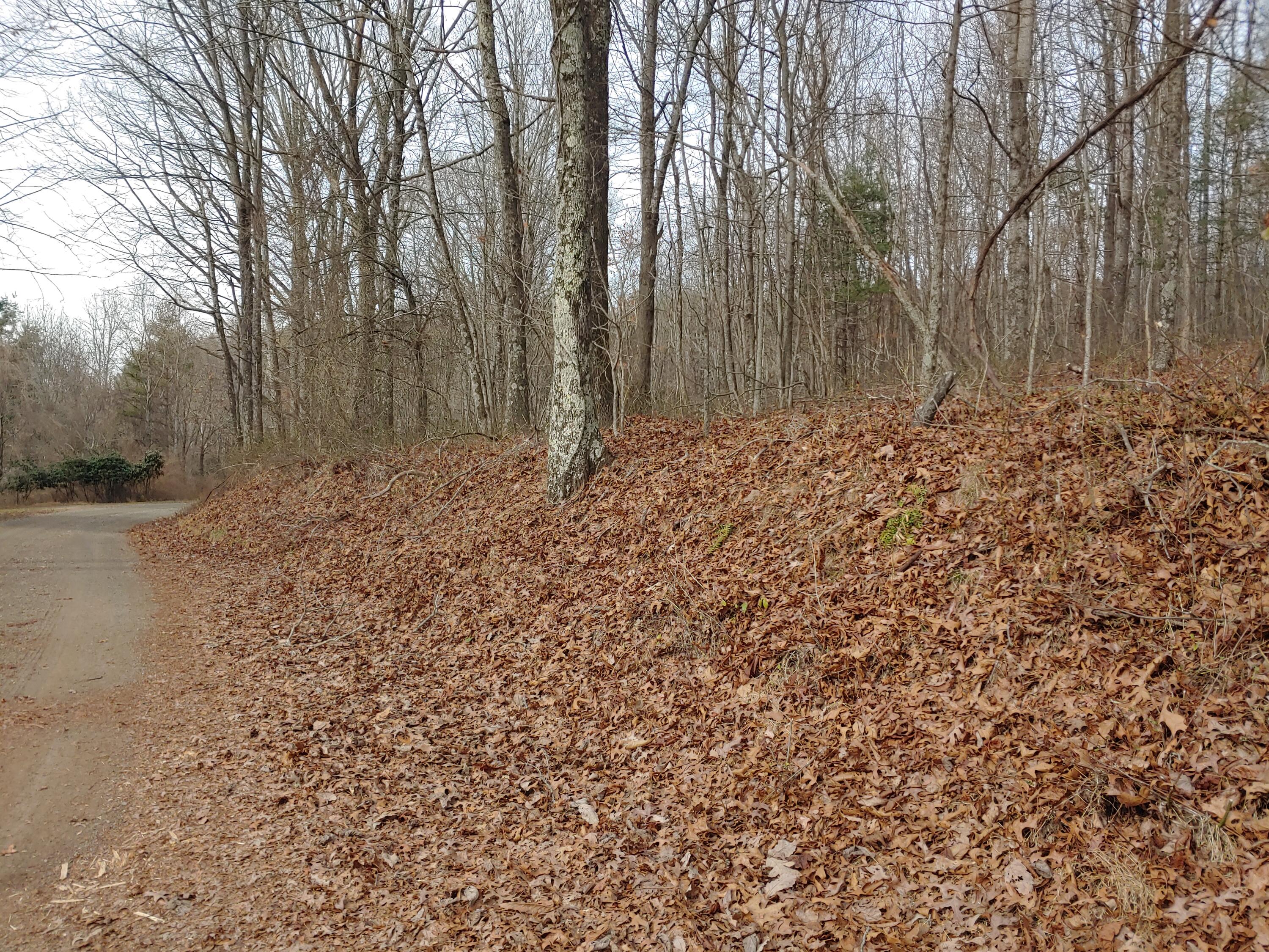 0 Calvary Wy Road Laurel Fork, VA 24352 - Photo 8 of 11 1221231310