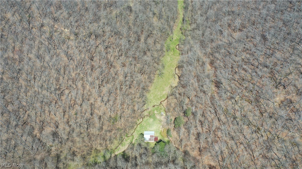 729 Deaden Run Road Gassaway, WV 26624 - Photo 10 of 23 Gallery Image 10