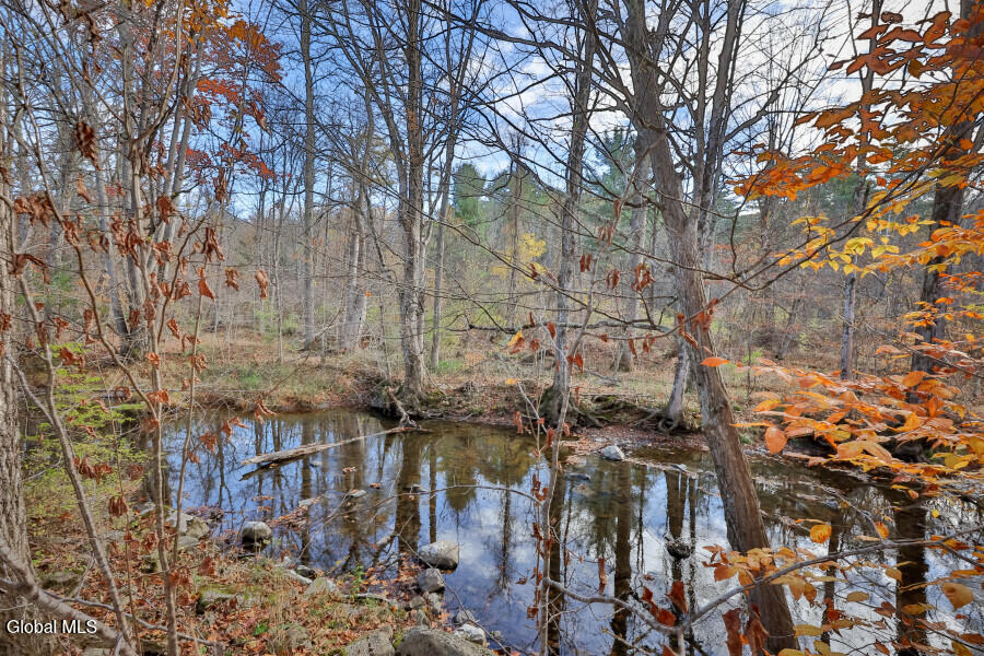 1064 Country Rt 411 Westerlo, NY 12193 - Photo 40 of 49 1064-Rt411-40