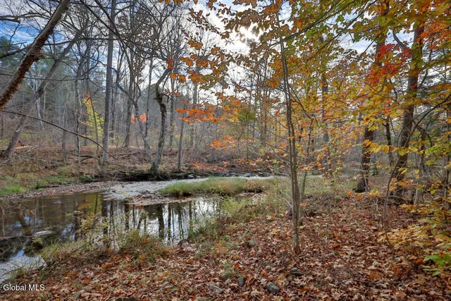 $320,000 | 1064 Country Rt 411, Westerlo, NY 12193